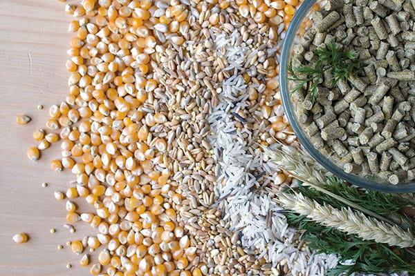 Wagner's Pellets- Granulat zimnotłoczony Wagner's dla średnich i dużych papug 750g od ParrotPlanet.pl