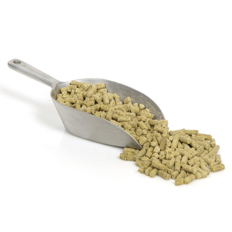 Wagner's Pellets- Granulat zimnotłoczony Wagner's dla średnich i dużych papug 750g od ParrotPlanet.pl