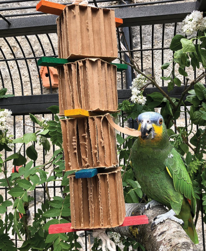 Radosna Wieża - zabawka dla średnich i dużych papug od ParrotPlanet.pl