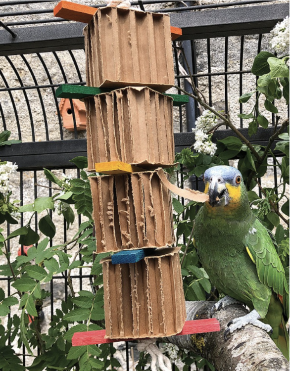Radosna Wieża - zabawka dla średnich i dużych papug od ParrotPlanet.pl