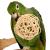 Naturalna Piłka Wiklinowa Medium- zabawka do łapki 9cm od ParrotPlanet.pl