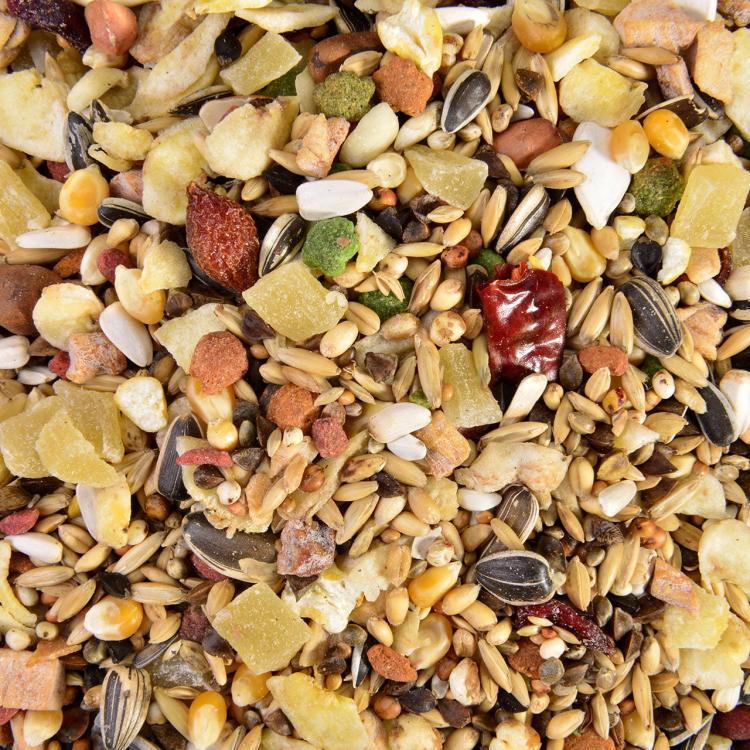 AMAZONA Wagner's - mieszanka dla AMAZONEK 1kg od ParrotPlanet.pl