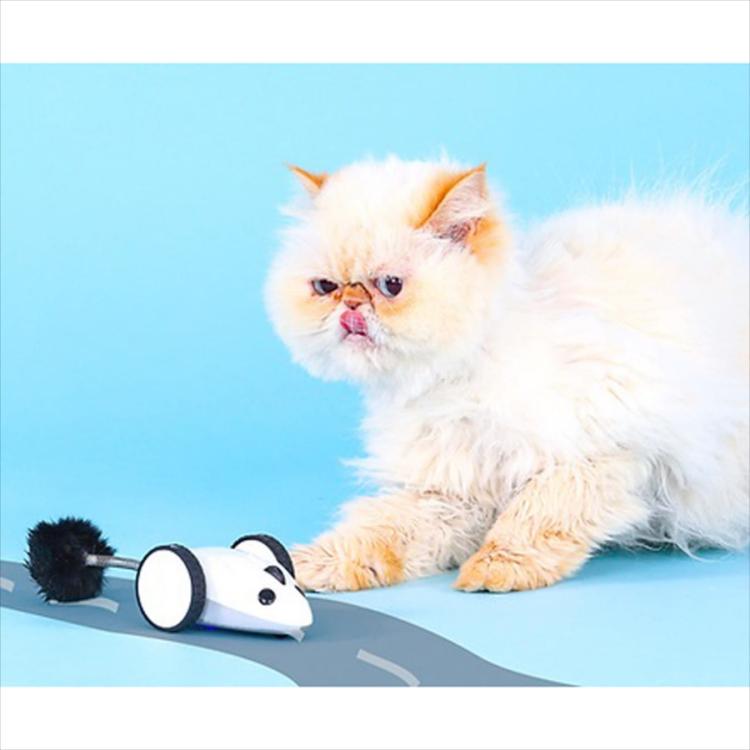 Litter Robot  - Mysz Robot - Automatyczna zabawka dla kota sterowana telefonem od ParrotPlanet.pl
