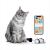 Litter Robot  - Mysz Robot - Automatyczna zabawka dla kota sterowana telefonem od ParrotPlanet.pl