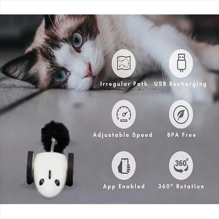 Litter Robot  - Mysz Robot - Automatyczna zabawka dla kota sterowana telefonem od ParrotPlanet.pl