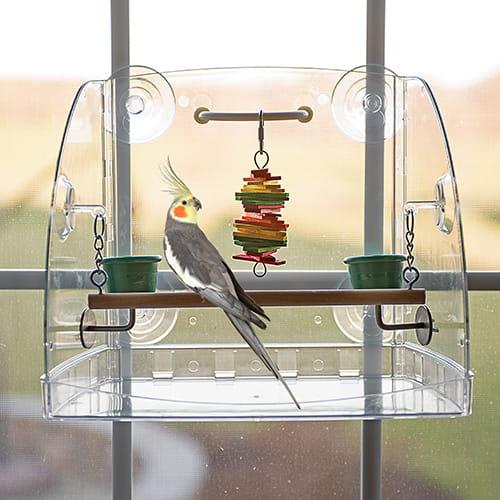 Karmnik z mini placem zabaw - dla małych papug i średnich papug od ParrotPlanet.pl