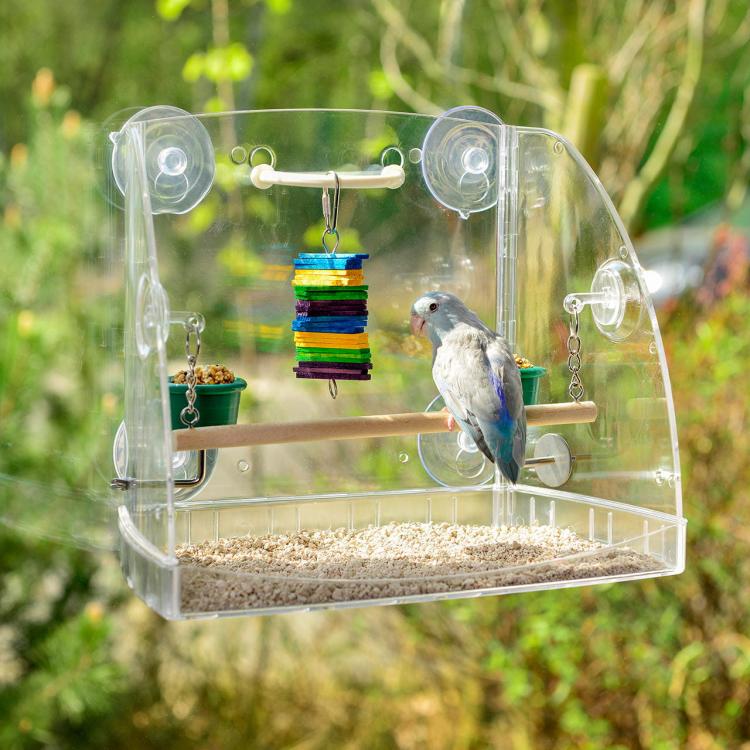 Karmnik z mini placem zabaw - dla małych papug i średnich papug od ParrotPlanet.pl