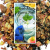 Apple Mint Parrot Tea - Organiczny napar, herbatka dla papug jabłkowo-miętowa100g od ParrotPlanet.pl