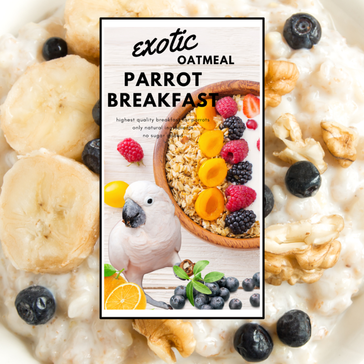 HOT EXOTIC OAT Parrot Breakfast - Papuzia Owsianka - danie śniadaniowe, lub obiadowe na ciepło dla wszystkich papug 100g od ParrotPlanet.pl