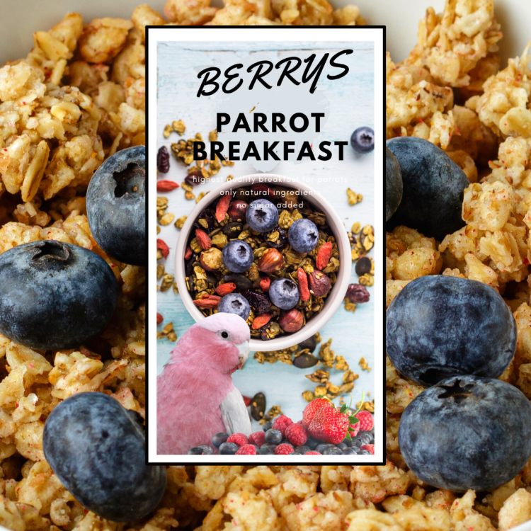 HOT Berry Parrot Breakfast - Papuzie danie śniadaniowe, lub obiadowe na ciepło dla wszystkich papug 150g od ParrotPlanet.pl