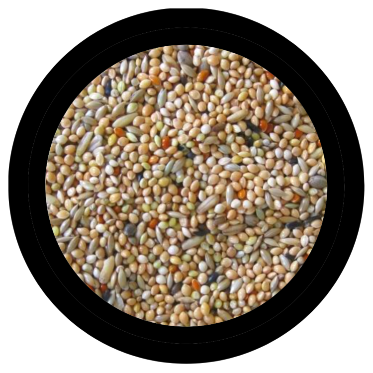 Deli Nature Budgies 1kg - pokarm dla papużek falistych od ParrotPlanet.pl