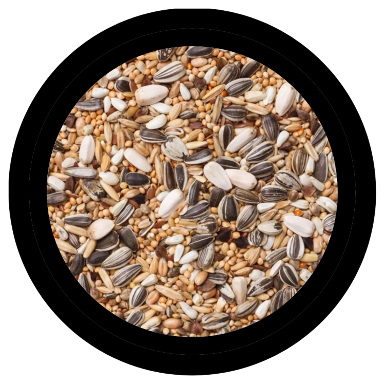 Deli Nature 30 - Mieszanka podstawowa dla średnich PaPug 20kg od ParrotPlanet.pl