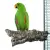 Naturalna żerdź z kory dębu korkowego L - dla średnich i dużych papug  od ParrotPlanet.pl