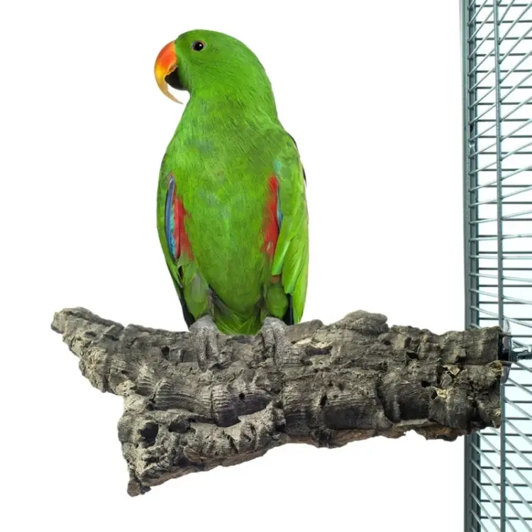 Naturalna żerdź z kory dębu korkowego L - dla średnich i dużych papug  od ParrotPlanet.pl