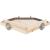 Stolik dla PaPug rozm. S 19 cm od ParrotPlanet.pl