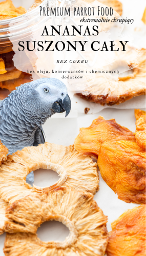 Premium Parrot Food - Ananas - dla wszystkich papug 100g od ParrotPlanet.pl