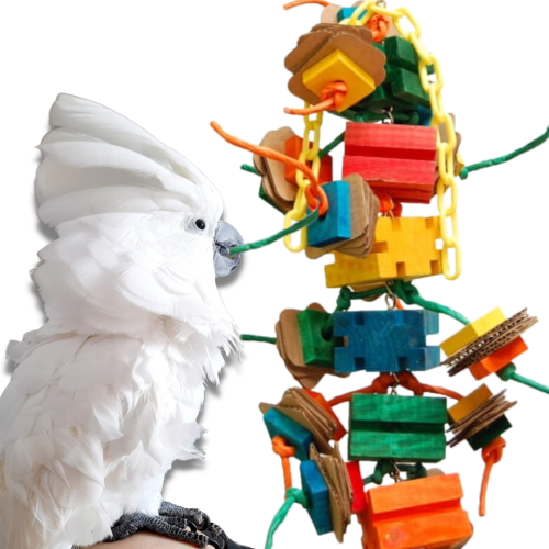 Wielgachna Wieża Rozmaitości - dla średnich i dużych Papug od ParrotPlanet.pl