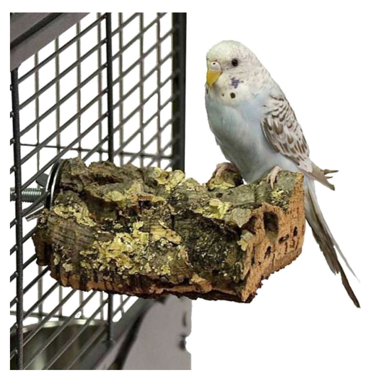 Naturalna żerdź, z kory dębu korkowego rozmiar s - dla małych i średnich papug od ParrotPlanet.pl
