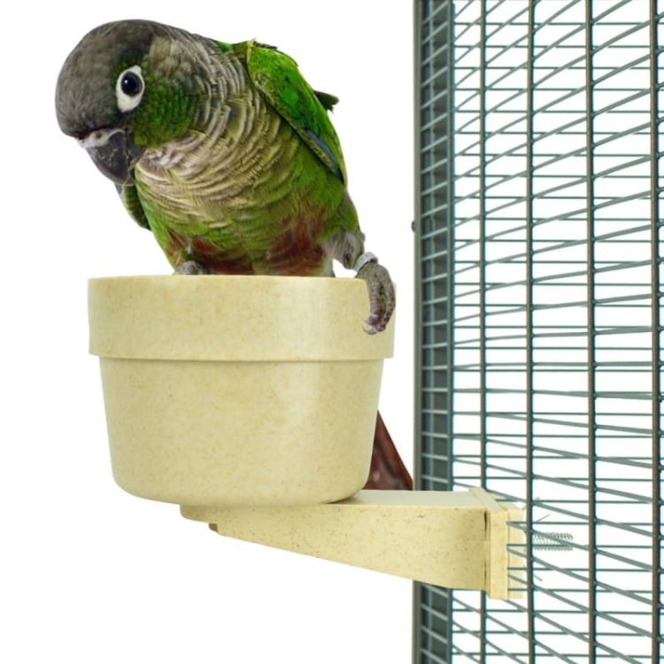 Miseczka bambusowa - blokowana- dla wszystkich papug od ParrotPlanet.pl