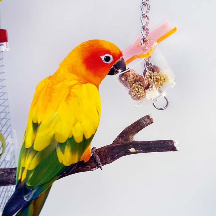 Zabawka Kryjówka dla średnich i mniejszych papug od ParrotPlanet.pl