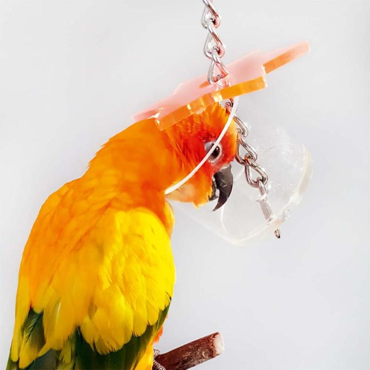 Zabawka Kryjówka dla średnich i mniejszych papug od ParrotPlanet.pl