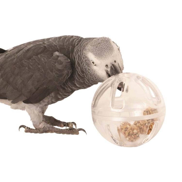 Zabawka Bufet w piłce dla papug od ParrotPlanet.pl