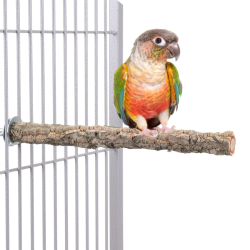 Naturalna żerdź, z kory dębu korkowego rozmiar S - dla małych i średnich papug od ParrotPlanet.pl