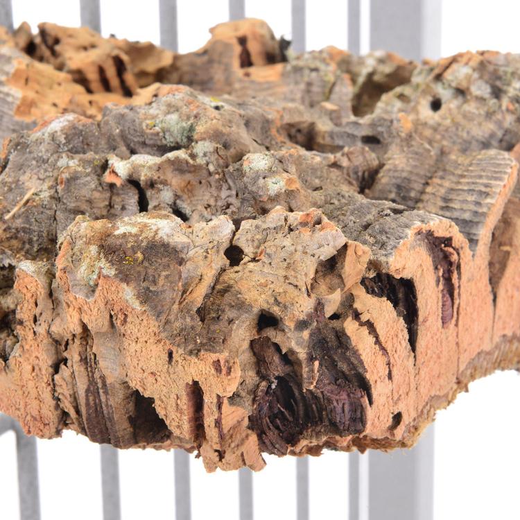 Naturalna żerdź, z kory dębu korkowego rozmiar s - dla małych i średnich papug od ParrotPlanet.pl
