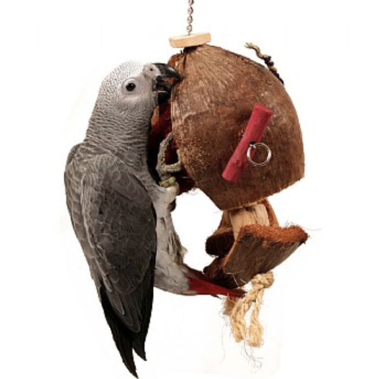 PaPuga na KoKosie- naturalna zabawka dla papug od ParrotPlanet.pl