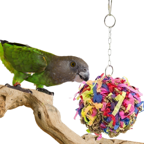 Piłka do dziobania M- dla średnich PaPug od ParrotPlanet.pl