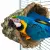 Naturalna żerdź, lub jaskinia z kory drewna rozmiar L - dla dużych i średnich papug od PARROTPLANET.PL