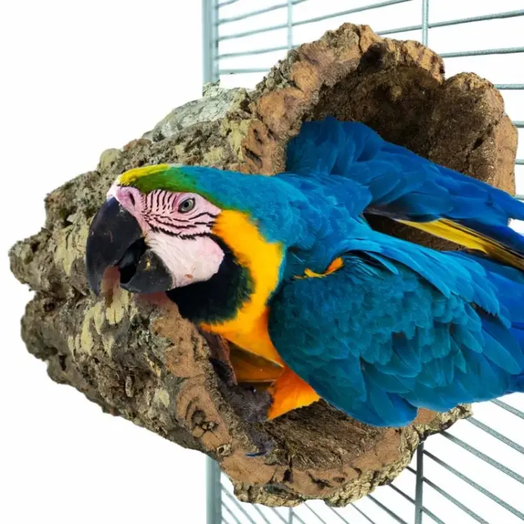 Naturalna żerdź, lub jaskinia z kory drewna rozmiar L - dla dużych i średnich papug od PARROTPLANET.PL