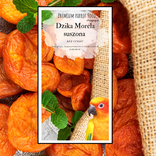 Premium Parrot Food - Dzika Morela Suszona - dla wszystkich papug 100g od ParrotPlanet.pl
