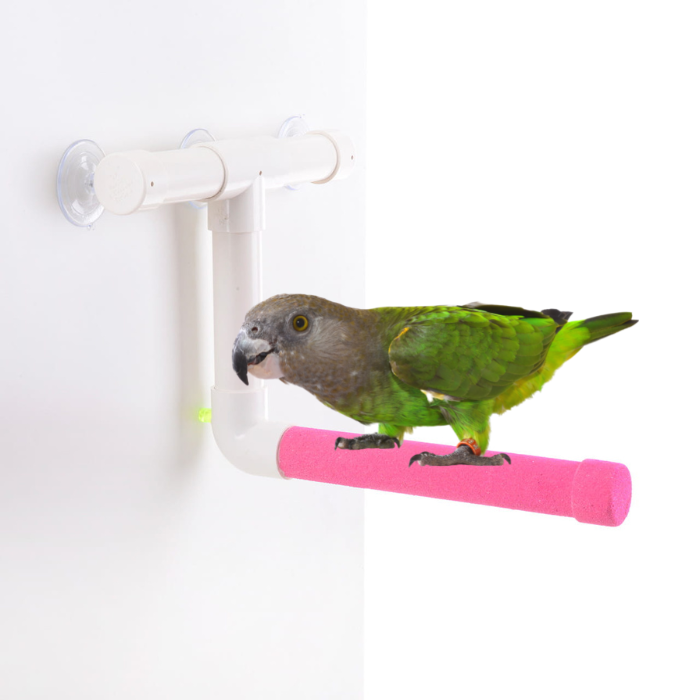 Żerdź pod prysznic M dla średnich papug od ParrotPlanet.pl