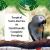 Lafeber NutriBerries Tropical Fruit Complete Parrot Food 284g dla średnic i dużych papug od ParrotPlanet.pl