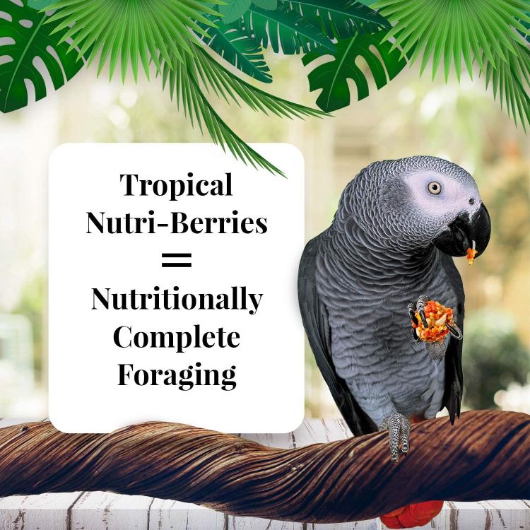 Lafeber NutriBerries Tropical Fruit Complete Parrot Food 284g dla średnic i dużych papug od ParrotPlanet.pl