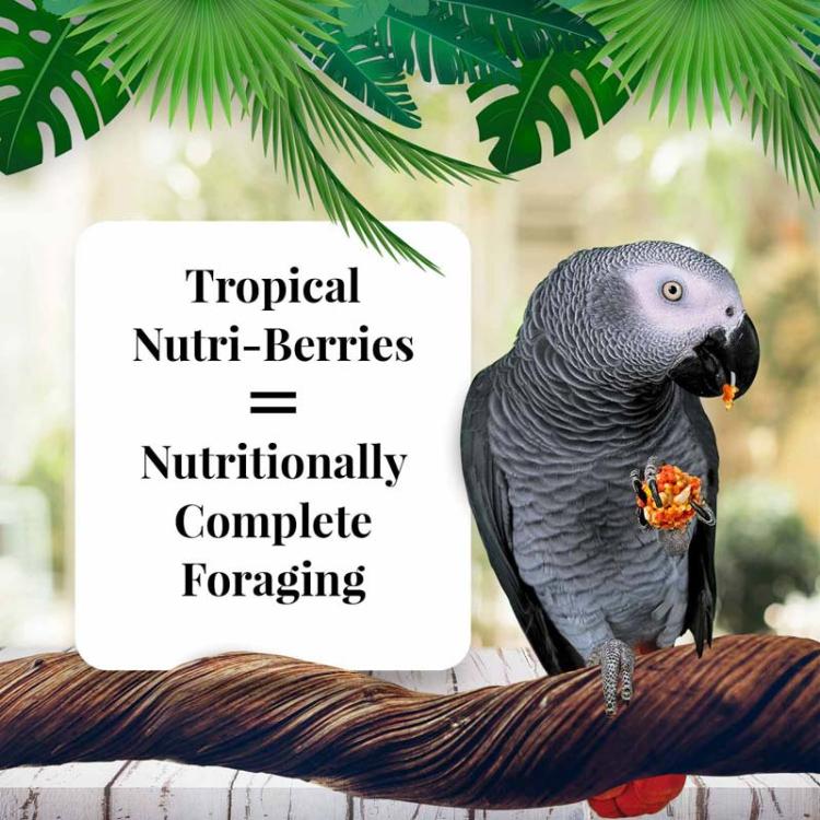 Lafeber NutriBerries Tropical Fruit-  Pokarm w kształcie kuleczek dla średnich i dużych papug 1,36kg od ParrotPlanet.pl