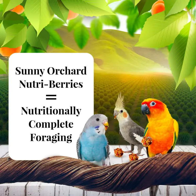 Lafeber Nutri-Berries Sunny Orchard – aliment complet aux fruits pour petits et moyens perroquets, 284 g ParrotPlanet.fr