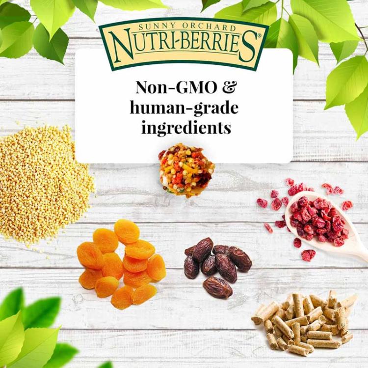 Lafeber Nutri-Berries Sunny Orchard – aliment complet aux fruits pour petits et moyens perroquets, 284 g ParrotPlanet.fr