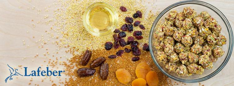 Lafeber Nutri-Berries Sunny Orchard – aliment complet aux fruits pour petits et moyens perroquets, 284 g ParrotPlanet.fr