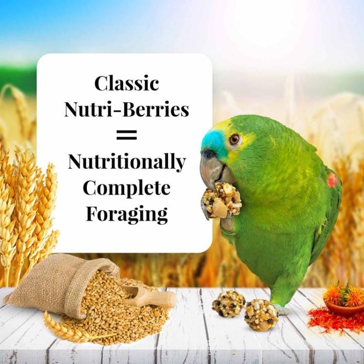 Lafeber NutriBerries Original Classic - Pokarm w kształcie kuleczek dla średnich i dużych papug 284g od ParrotPlanet.pl
