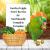 Lafeber Nutri-Berries Garden Veggie – aliment complet aux légumes pour perroquets moyens et grands, 284 g ParrotPlanet.fr