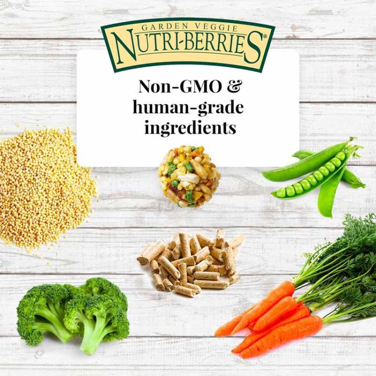 Lafeber Nutri-Berries Garden Veggie – aliment complet aux légumes pour perroquets moyens et grands, 284 g ParrotPlanet.fr