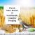 Lafeber Nutri-Berries Original Classic – aliment complet pour perroquets moyens et grands, 1,47 kg ParrotPlanet.fr