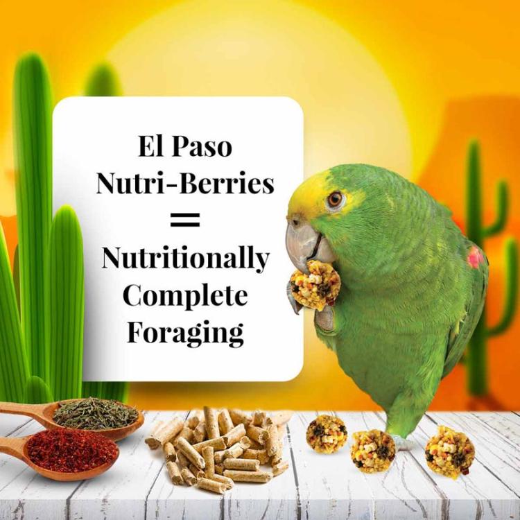 Lafeber NutriBerries El Paso – boules nutritives aux graines, légumes et fruits avec 30 % de granulés – pour perroquets ParrotPlanet.fr