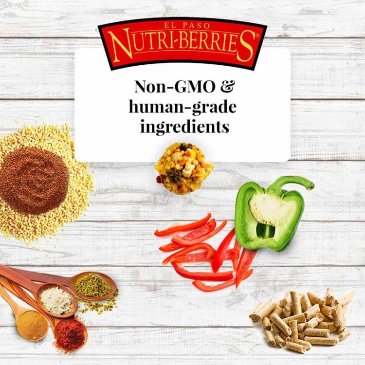 Lafeber NutriBerries El Paso – boules nutritives aux graines, légumes et fruits avec 30 % de granulés – pour perroquets ParrotPlanet.fr