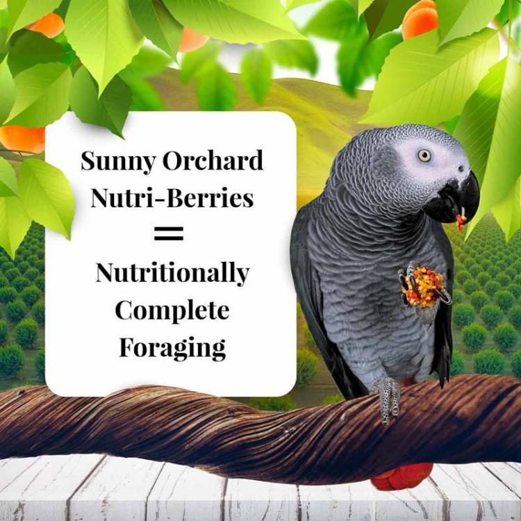 Lafeber NutriBerries Sunny Orchard - Pokarm w kształcie kuleczek dla średnich i dużych papug 1,36kg od ParrotPlanet.pl