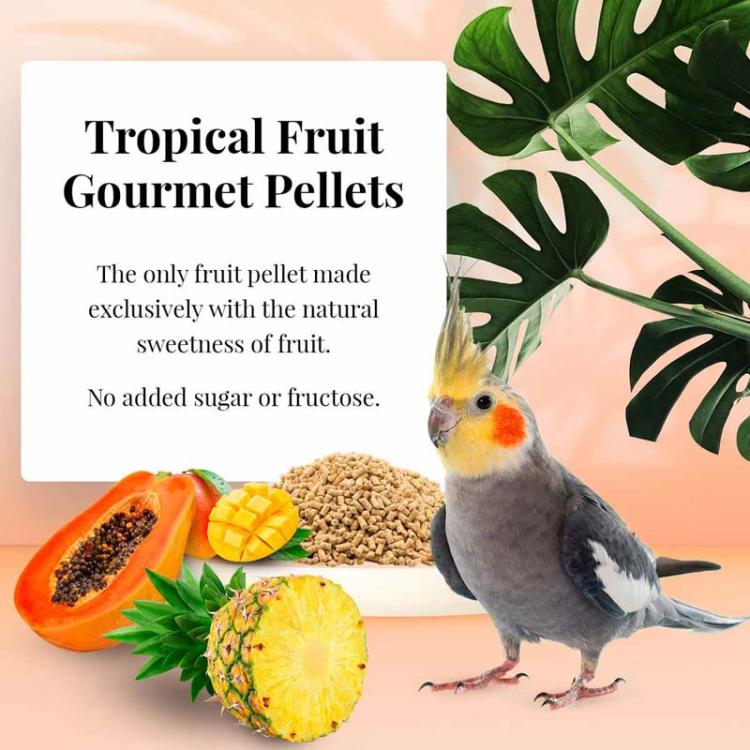 Lafeber Gourmet Pellets Tropical Fruit Cockatiel – granulés complets aux fruits tropicaux pour calopsittes, 567 g ParrotPlanet.fr