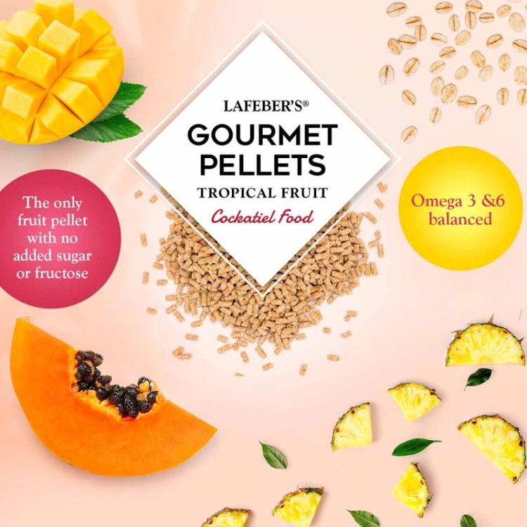 Lafeber Gourmet Pellets Tropical Fruit Cockatiel – granulés complets aux fruits tropicaux pour calopsittes, 567 g ParrotPlanet.fr