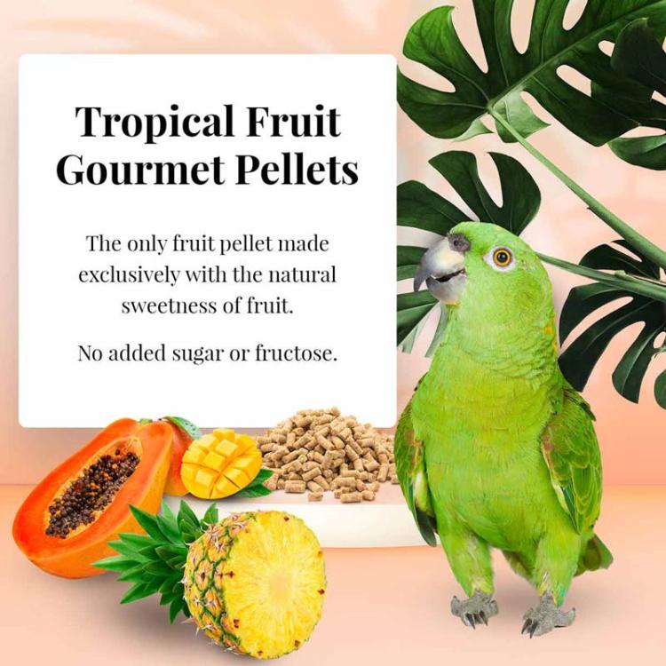 Lafeber Gourmet Pellets Tropical Fruit Parrots – granulés complets aux fruits tropicaux pour perroquets moyens et grands, 567 g ParrotPlanet.fr